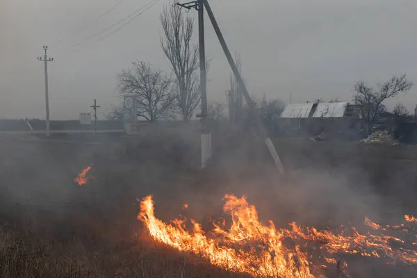 Mykolaiv Reg Ukraine Mar 2024年 ウクライナ戦争 ウクライナのミコラウビ地方の村の郊外で草を燃やす — ストック写真