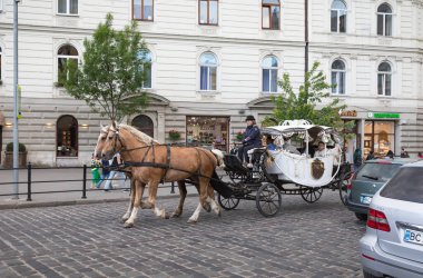 IV, UKRAINE - Mayıs. 18, 2024: Lviv şehrinin tarihi bölgesinde bir at arabasının turistleri gezdirdiği görülüyor