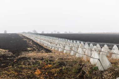 Rusya-Ukrayna savaşı sırasında Ukrayna 'nın Kharkiv bölgesinde ejderha dişi tahkimatı ve dikenli teller.