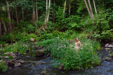 Çıplak bir kadının yemyeşil bir orman manzarasının sessizliğinin tadını çıkarırken huzurlu bir an yaşanıyor. Çevresi canlı yeşilliklerle çevriliyken, o, bölgede akan yumuşak bir akarsuyun ortasında huzur içinde duruyordu.