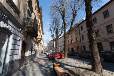 Lviv, Ukrayna - Mar. 22, 2025: Lviv 'de güzel bir cadde kaldırımda uzanan uzun ağaçlar, tarihi mimari ve parlak güneş ışığı altında kaldırım kenarına park etmiş canlı araçlar sergileniyor..
