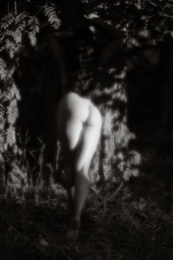 Yumuşak odak orman arka planda güneş ışığında genç bir çıplak kadın görüntü bulanık. Yumuşak romantik ve vintage tarzı görüntü