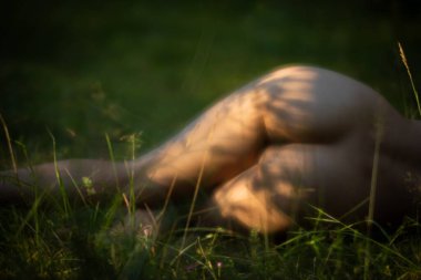 Yumuşak odak orman arka planda güneş ışığında genç bir çıplak kadın görüntü bulanık. Yumuşak romantik ve vintage tarzı görüntü