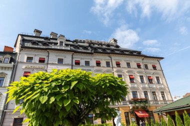 LVIV, UKRAINE - Haziran. 20, 2021: Turistler çarpıcı mimariye ve hareketli sokaklara hayran kalarak tarihi bölgede dolaşıyorlar. Güneş binaların üzerinde parlıyor ve yakınlardaki yemyeşil bir ağaç.