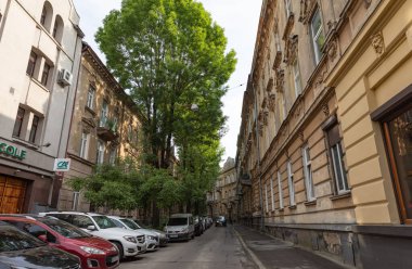 Lviv, Ukrayna - Haziran. 01, 2025: Göz hizasında bir çekim, eski binalar ve park edilmiş arabalarla dolu dar bir caddeyi yakalıyor, tepede bereketli ağaçlar var..