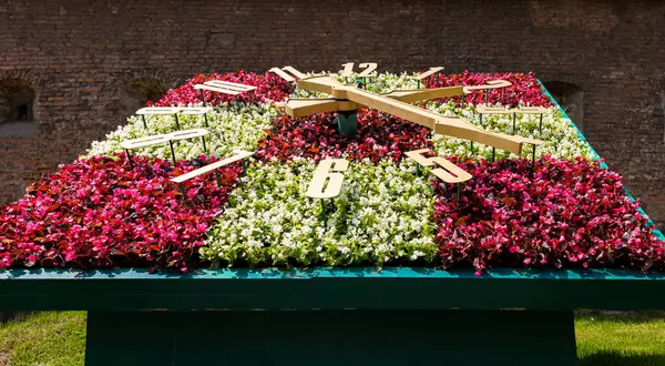 Lviv, Ukrayna - Haziran. 01, 2025: Halka açık bir bahçede renkli çiçeklerle gösterilen eşsiz bir çiçek saati.