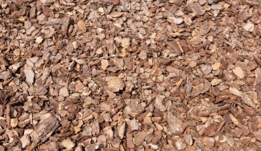 Dokulu kahverengi saman örtüsü yakın çekim, bahçe arkaplanı ve peyzaj için mükemmel..