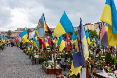 Lviv, Ukrayna - 24 Ağustos 2025: Lviv 'deki Mars Sahası, savaşta kaybedilenlerin anısına canlı bayraklar ve çiçekler sergiliyor..
