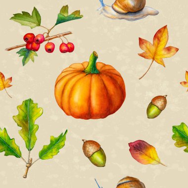 Balkabağı, meşe palamudu, salyangoz, böğürtlen ve renkli yapraklarla sonbahar temalı kusursuz desen. Elle çizilmiş ögelerle dijital illüstrasyon.