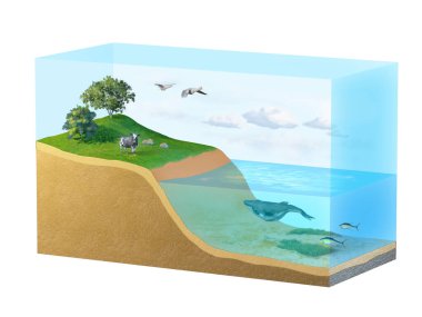 Detailed diagram of the Earth biosphere. Digital illustration, 3D rendering. clipart