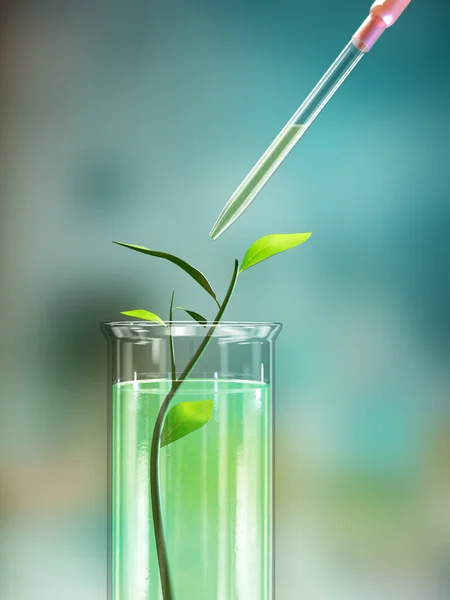 ラボのフラスコに医療用植物エキス デジタルイラスト 3Dレンダリング — ストック写真