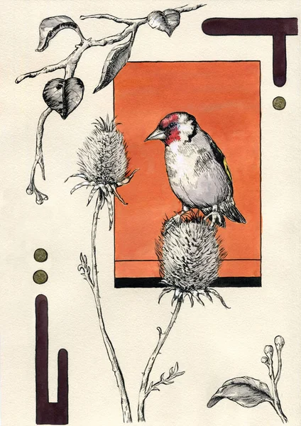 Goldfinch Uma Flor Cardo Ilustração Tinta Tradicional Papel — Fotografia de Stock