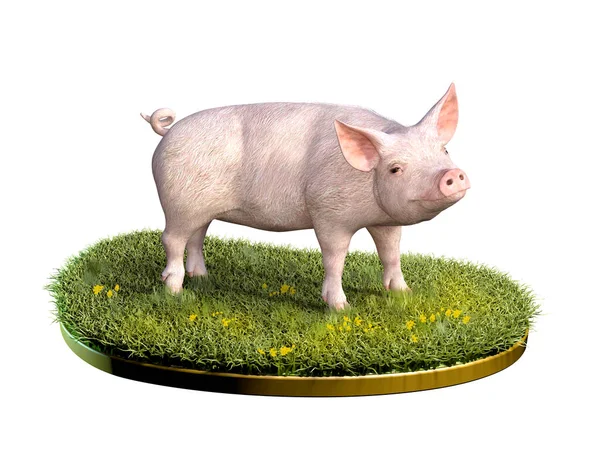 Śliczna Świnia Kawałku Zielonej Trawy Ilustracja Cyfrowa Renderowanie — Zdjęcie stockowe