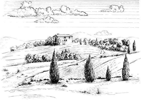 Ink drawing of a typical mediterranean rural landscape. Traditional illustration on paper.