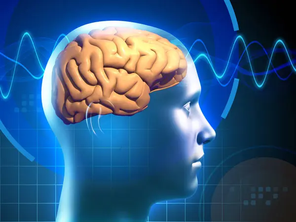 人脑图像 由电信号交叉的人脑图像 代表行动中的思想过程数字图解 3D渲染 免版税图库照片