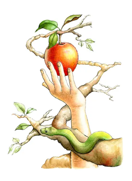 伊娃拿起禁果 而蛇从树枝上看着她 纸张上的传统插图 图库图片