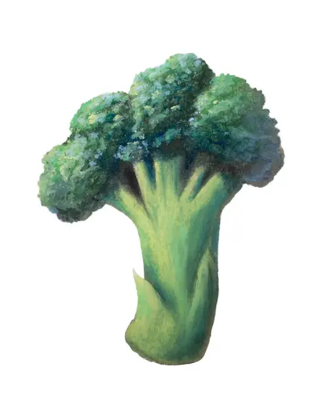 Pintura Algunos Tallos Brócoli Floretes Imagen de stock