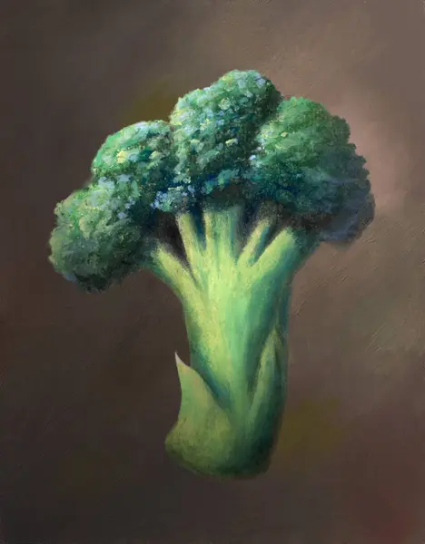 Målning Vissa Broccoli Stammar Och Blommor Stockbild