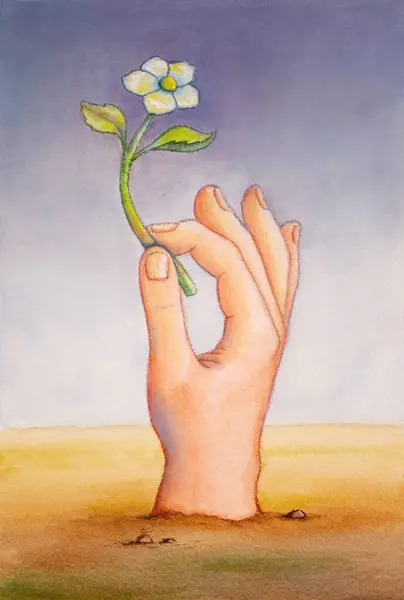 Man Hand Håller Liten Vit Blomma Traditionell Akvarell Illustration Papper Stockfoto