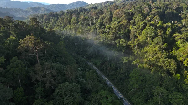 Yağmur Ormanlarında Gün Doğumu Langkawi Ormanı Insansız Hava Aracı Manzarası — Stok fotoğraf