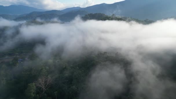 霧と低雲と熱帯雨林の日の出 マレーシアの森ドローンの眺め — ストック動画