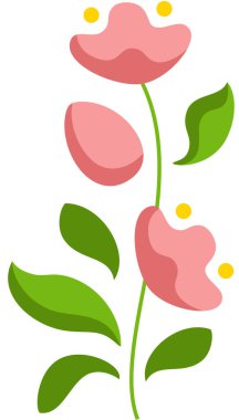 illustration of a pink flower, isolated