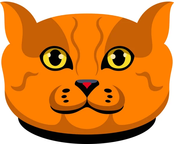 Portrait Red Cat Isolated — Stock Vector