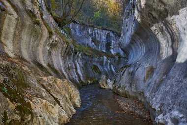 Kayalık bir kanyonu ve kireçtaşı dağlarında bir nehri olan bir manzara.