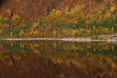 Baraj gölünü çevreleyen dağlardaki renkli ormanlar sudaki yansımalarla