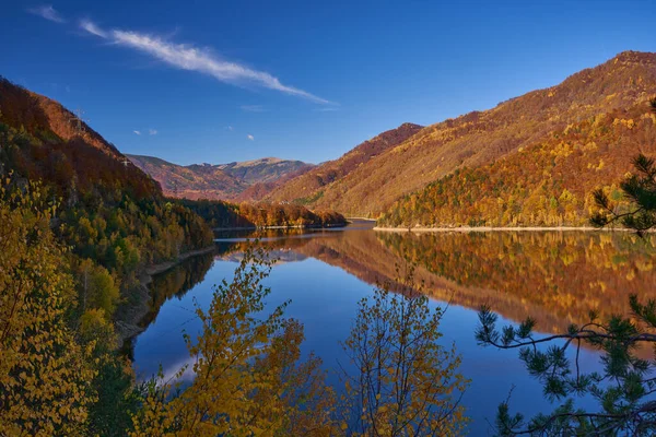 Kleurrijke Bossen Bergen Rondom Een Stuwmeer Met Reflectie Het Water — Stockfoto