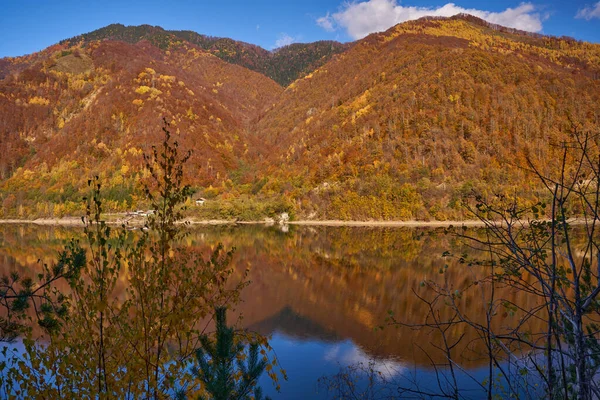Красочные Леса Горах Окружающих Дамбу Озера Отражением Воде — стоковое фото