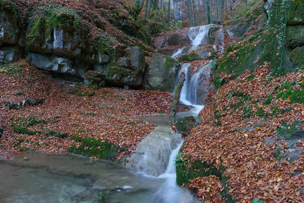 Cachoeira Através Desfiladeiro Com Pedras Cobertas Musgo Folhas Caídas Outono — Fotografia de Stock