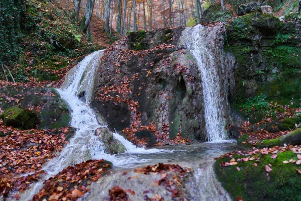 苔に覆われた岩や 秋には落ち葉で覆われた渓谷の滝 — ストック写真