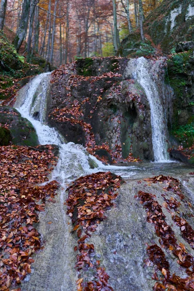 Vodopád Kaňonem Balvany Pokrytými Mechem Spadanými Listy Podzim — Stock fotografie