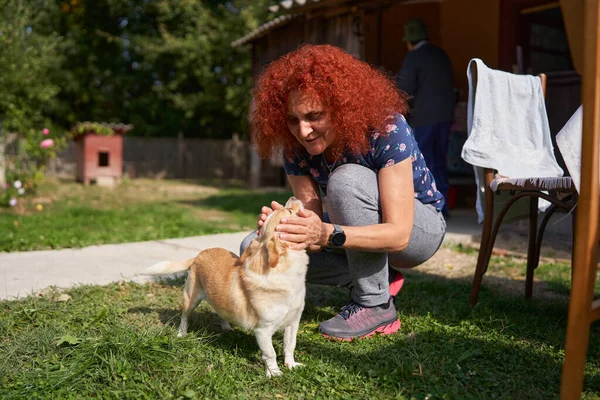 Vrouw Spelen Met Haar Huisdier Hond Outdoor — Stockfoto