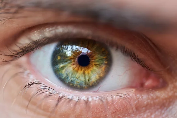 Genç Bir Adamın Sağ Gözünün Detaylı Makrosu — Stok fotoğraf