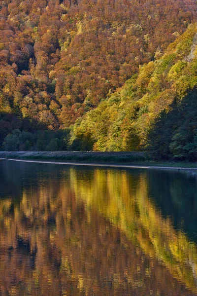 大坝湖周围高山上的五彩斑斓的森林 水面上倒映着倒影 — 图库照片