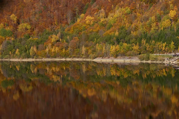 Forêts Colorées Sur Les Montagnes Entourant Lac Barrage Avec Réflexion — Photo