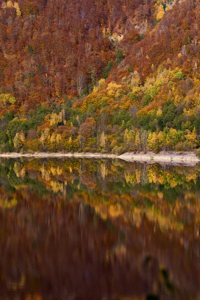Forêts Colorées Sur Les Montagnes Entourant Lac Barrage Avec Réflexion — Photo