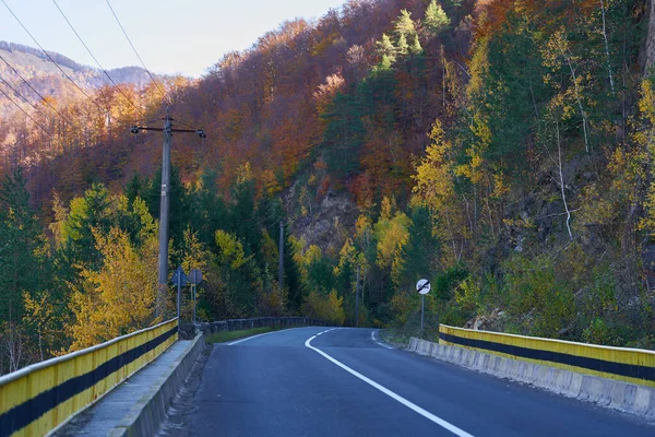 Strada Attraverso Colorate Foreste Autunnali Montagna — Foto Stock