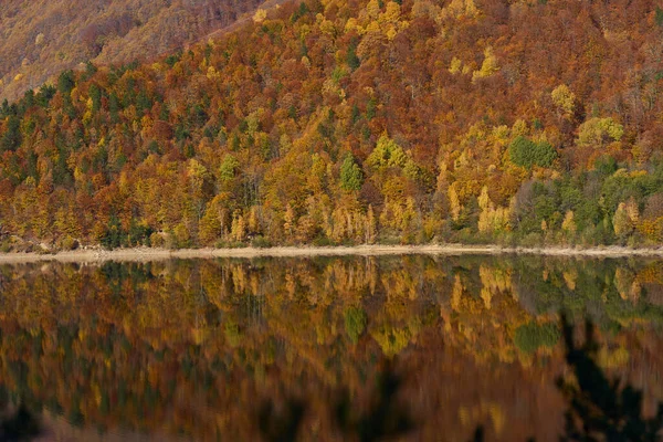 ダム湖を囲む山の上のカラフルな森と水の中の反射 — ストック写真