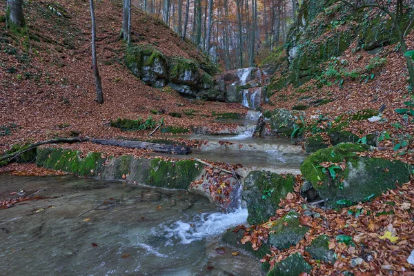 瀑布穿过峡谷 岩石覆盖着苔藓和落叶 — 图库照片