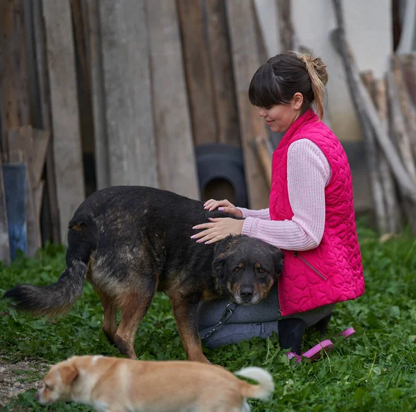 Genç Beyaz Kadın Çimlerin Üzerinde Köpeğiyle Oynuyor — Stok fotoğraf
