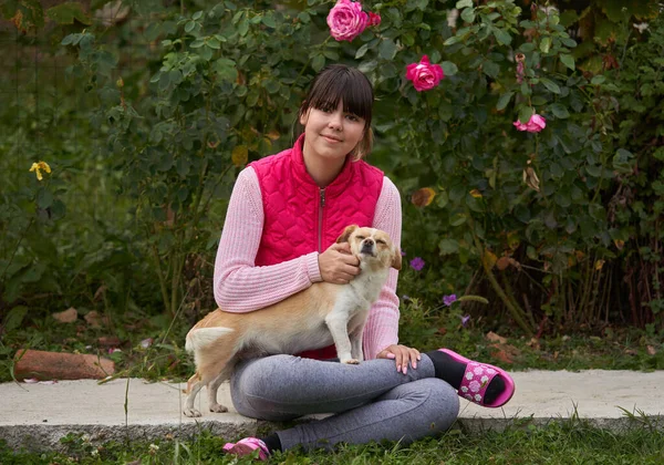 Ung Kaukasisk Kvinna Leker Med Sin Hund Gräset — Stockfoto