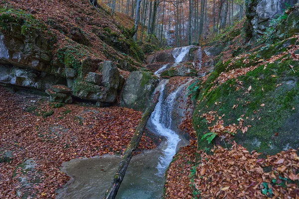 Wasserfall Durch Eine Schlucht Mit Findlingen Die Herbst Mit Moos lizenzfreie Stockbilder