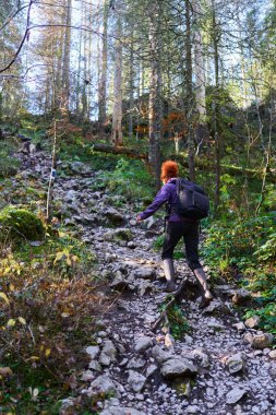 Sırt çantalı bir kadın dağda yürüyüş parkurunda yürüyor.