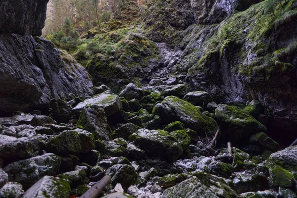 Enorme Grot Landschap Van Een Natuurlijke Grot Kalksteen Bergen — Stockfoto