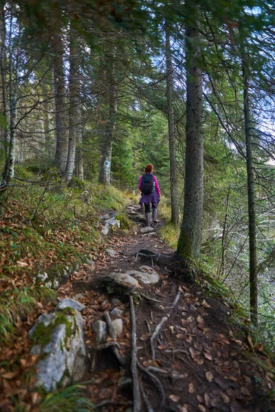 Sırt Çantalı Bir Kadın Dağda Yürüyüş Parkurunda Yürüyor — Stok fotoğraf