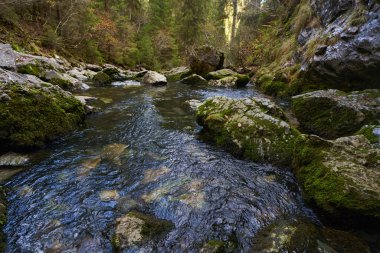 Kireçtaşı dağlarında bir karst pınarı tarafından üretilen nehir.