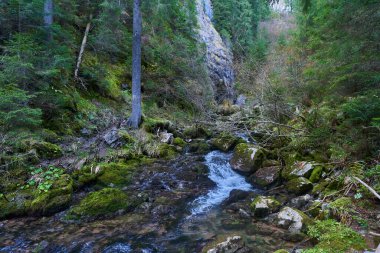 Kireçtaşı dağlarında bir karst pınarı tarafından üretilen nehir.